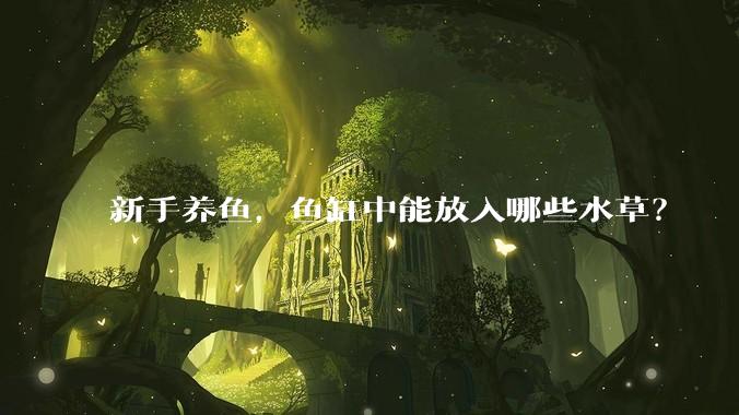 新手养鱼，鱼缸中能放入哪些水草？