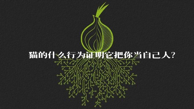 猫的什么行为证明它把你当自己人？