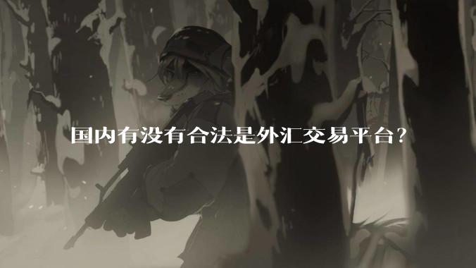 国内有没有合法是外汇交易平台？