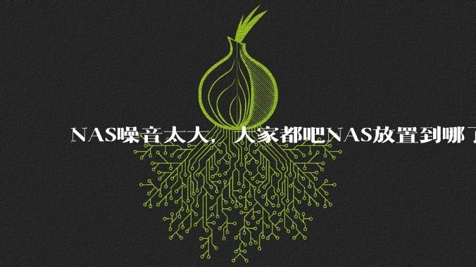NAS噪音太大，大家都吧NAS放置到哪了？