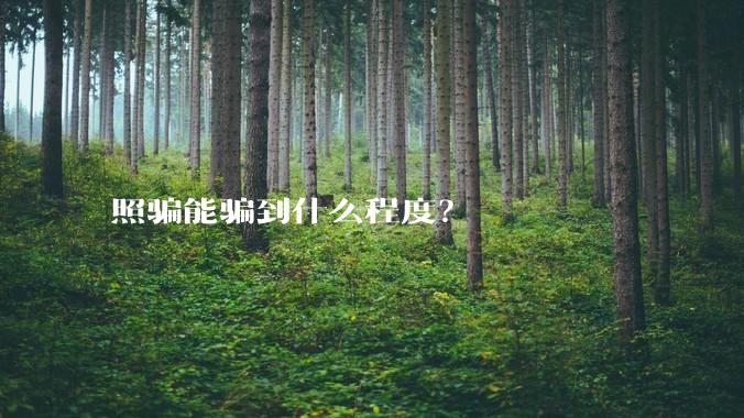 照骗能骗到什么程度？