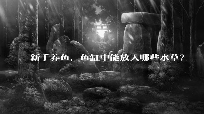 新手养鱼，鱼缸中能放入哪些水草？