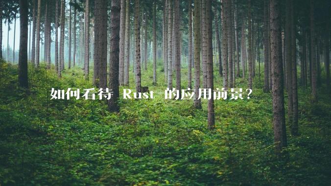 如何看待 Rust 的应用前景？