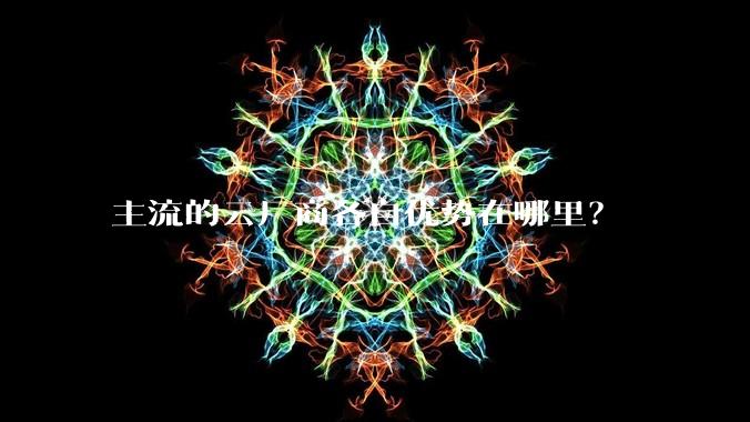 主流的云厂商各自优势在哪里？