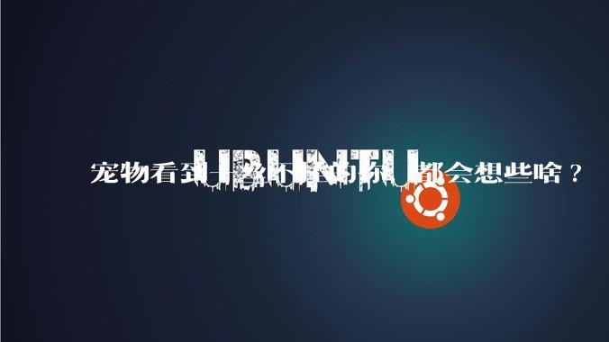 宠物看到一丝不挂的你, 都会想些啥?