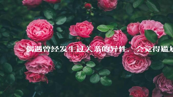 偶遇曾经发生过关系的异性，会觉得尴尬吗？