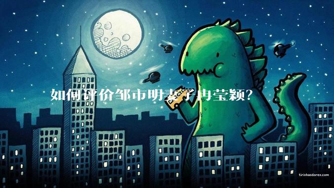 如何评价邹市明妻子冉莹颖？