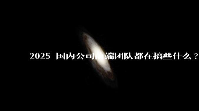 2025 国内公司前端团队都在搞些什么?