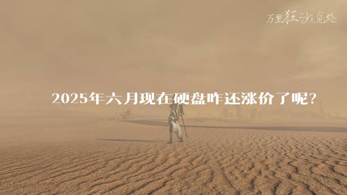 2025年六月现在硬盘咋还涨价了呢？