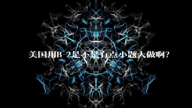 美国用B-2是不是有点小题大做啊？