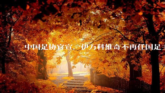 中国足协官宣，伊万科维奇不再任国足主教练，将由久尔杰维奇代理，如何评价伊万的执教表现？你看好该调整吗？