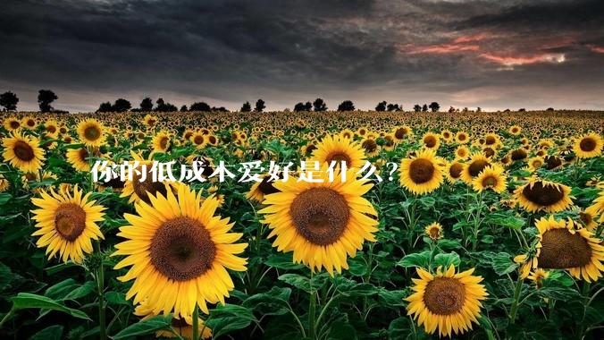 你的低成本爱好是什么？