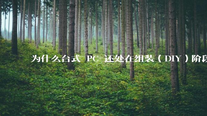 为什么台式 PC 还处在组装（DIY）阶段？