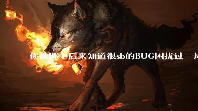 你被哪个后来知道很sb的BUG困扰过一周以上吗？