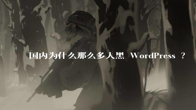 国内为什么那么多人黑 WordPress ？