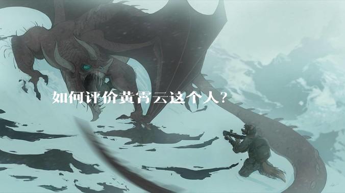 如何评价黄霄云这个人？