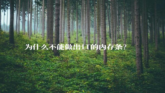 为什么不能做出1T的内存条？