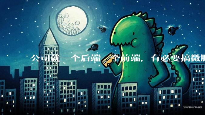 公司就一个后端一个前端，有必要搞微服务吗？
