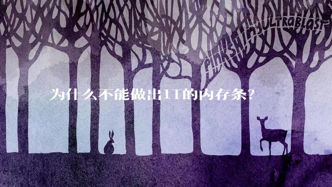 为什么不能做出1T的内存条？