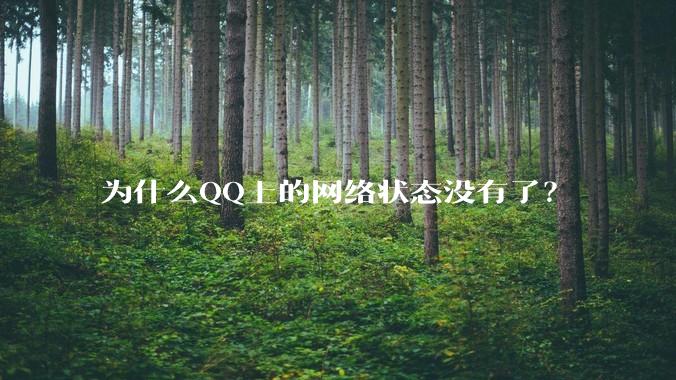 为什么QQ上的网络状态没有了？