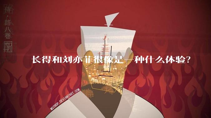 长得和刘亦菲很像是一种什么体验？