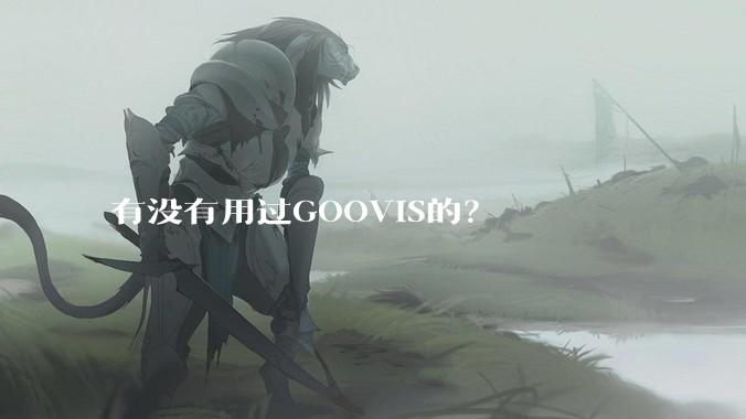 有没有用过GOOVIS的？
