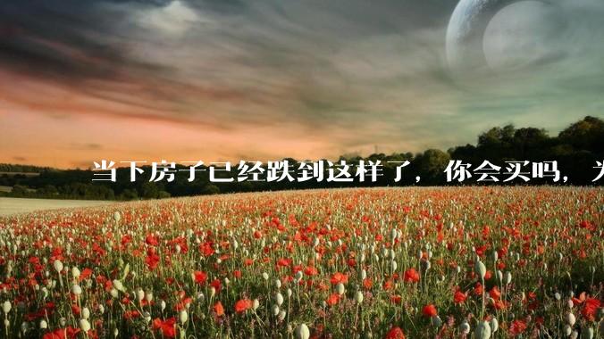 当下房子已经跌到这样了，你会买吗，为什么？