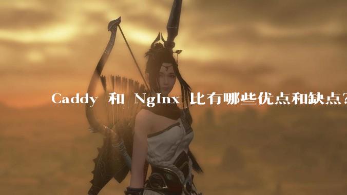 Caddy 和 Nginx 比有哪些优点和缺点？