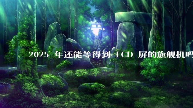 2025 年还能等得到 LCD 屏的旗舰机吗？