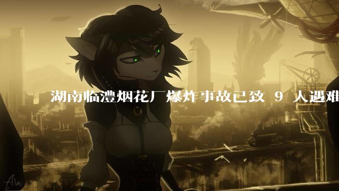 湖南临澧烟花厂爆炸事故已致 9 人遇难 26 人受伤，事故原因可能是什么？厂方要承担哪些法律责任？