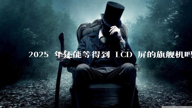 2025 年还能等得到 LCD 屏的旗舰机吗？