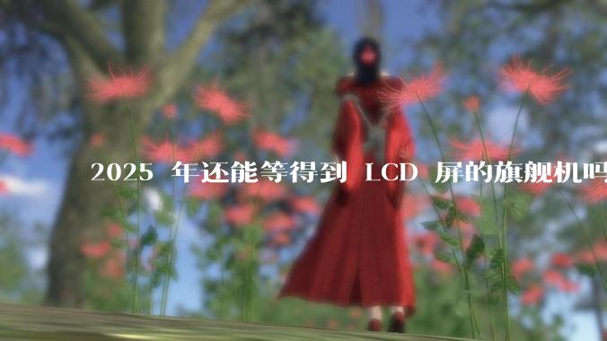 2025 年还能等得到 LCD 屏的旗舰机吗？
