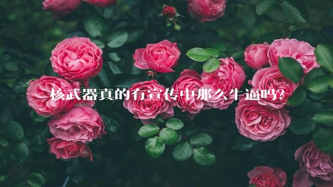 核武器真的有宣传中那么牛逼吗？