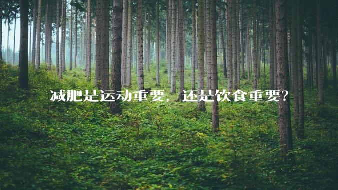 减肥是运动重要，还是饮食重要？