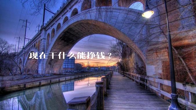 现在干什么能挣钱?