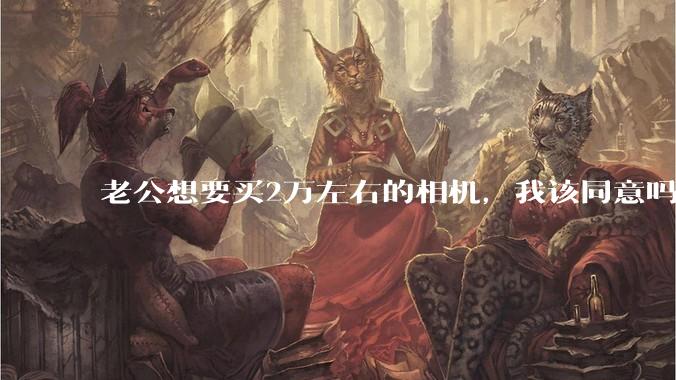 老公想要买2万左右的相机，我该同意吗？