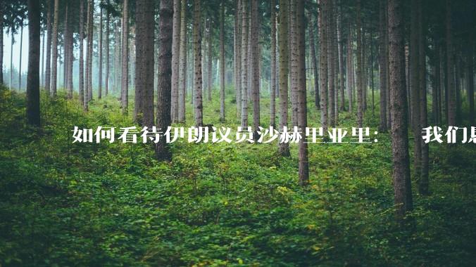 如何看待伊朗议员沙赫里亚里：  我们恳求最高领袖批准使用核武器？