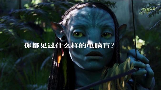 你都见过什么样的电脑盲？