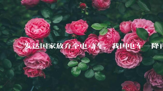 发达国家放弃全电动车，我国电车一降再降，高举发展新能源汽车大旗，电车会变成中国车企自嗨吗？