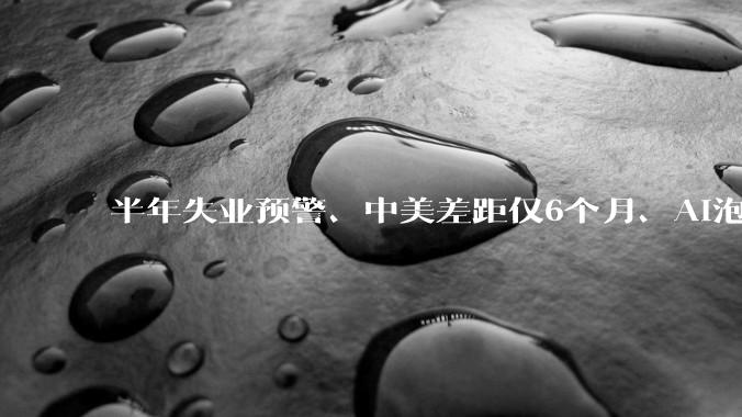 半年失业预警、中美差距仅6个月、AI泡沫论…达沃斯聚光灯下，AI巨头掌舵人激辩_岗位_哈萨比斯_技术