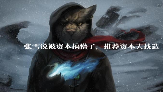 张雪说被资本搞懵了，推荐资本去找造飞机的师父，背后是一场流量与资本的疯狂狂欢！ - *