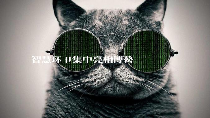 智慧环卫集中亮相博鳌