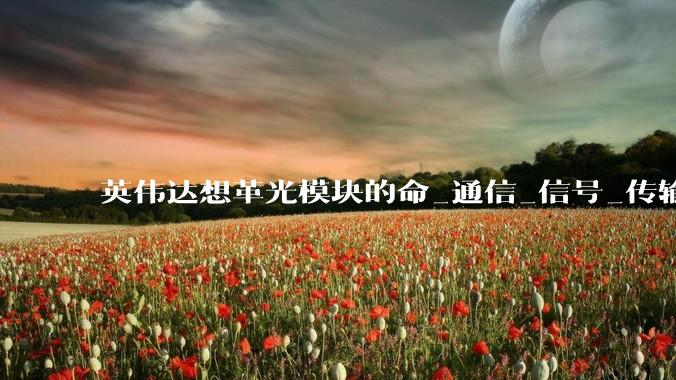 英伟达想革光模块的命_通信_信号_传输