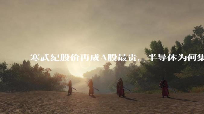 寒武纪股价再成A股最贵，半导体为何集体上涨？_公司_芯片_国产