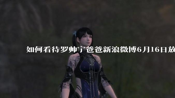 如何看待罗帅宇爸爸新浪微博6月16日放出的录音材料？