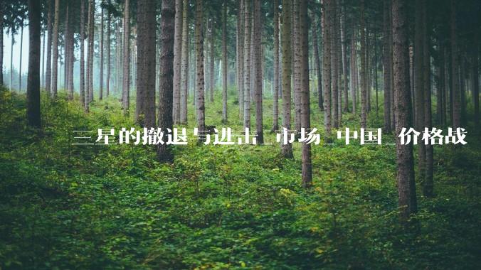 三星的撤退与进击_市场_中国_价格战