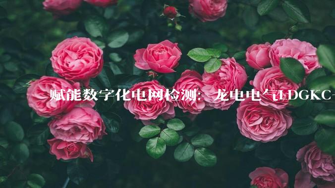 赋能数字化电网检测：龙电电气LDGKC-HA高压开关动特性测试仪的创新与应用_测量_设备_操作