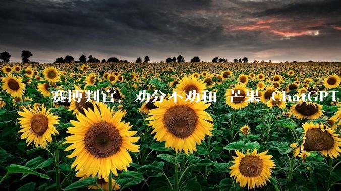 赛博判官，劝分不劝和_芒果_ChatGPT_李航