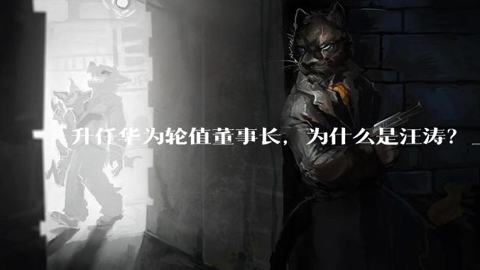 升任华为轮值董事长，为什么是汪涛？_业务_技术_胡厚崑