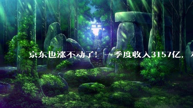 京东也涨不动了！一季度收入3157亿，利润仅51亿_业务_核心_同比